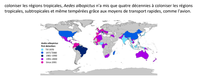 carte albopictus