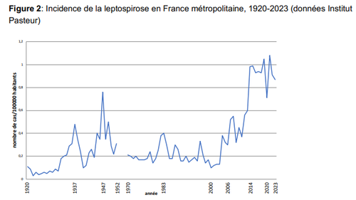 incidence leptospirose France