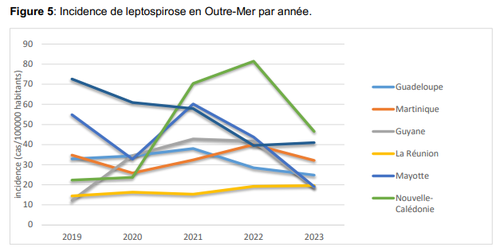 incidence leptospirose outre mer