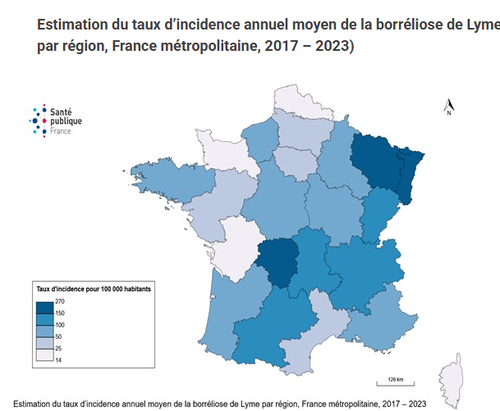 incidence lyme