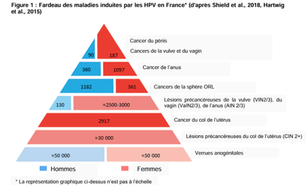 maladies induites hpv