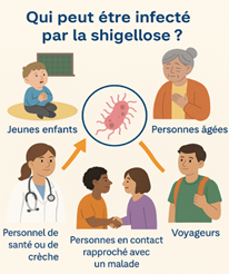 shigellose img